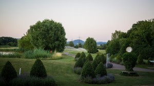 gutperle open 2017-59